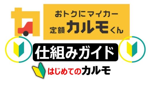 【まとめ】定額カルモくんのメリットとデメリット→オススメできる人とは？